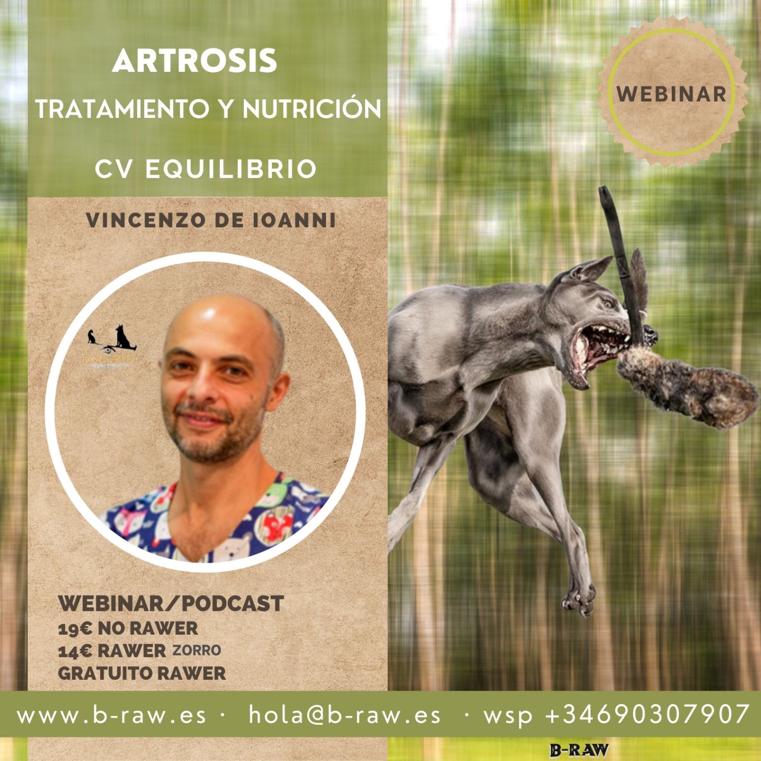 Artrosis en perros, tratamiento y nutrición B-RAW