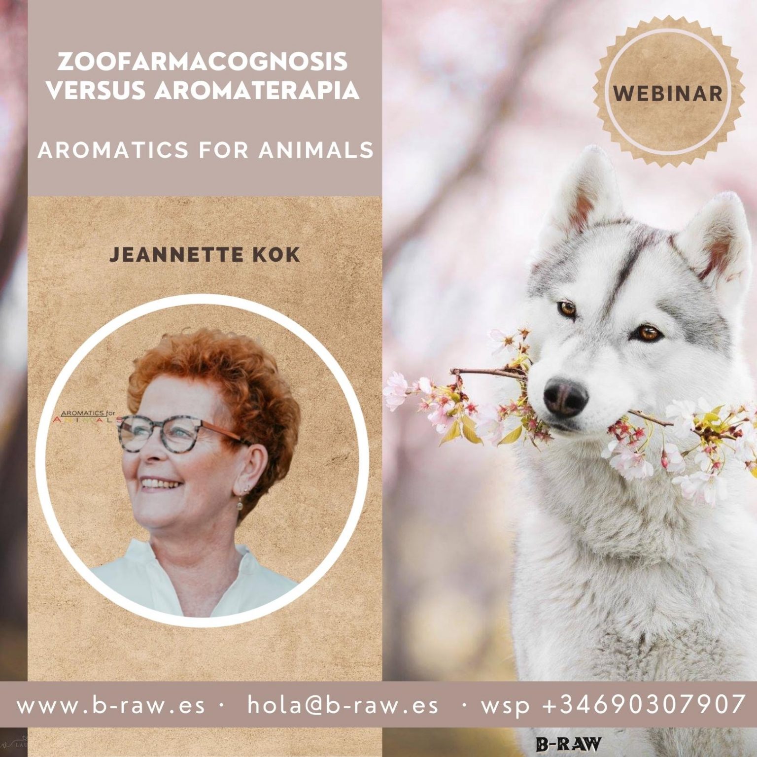 Zoofarmacognosis en perros y gatos B-RAW