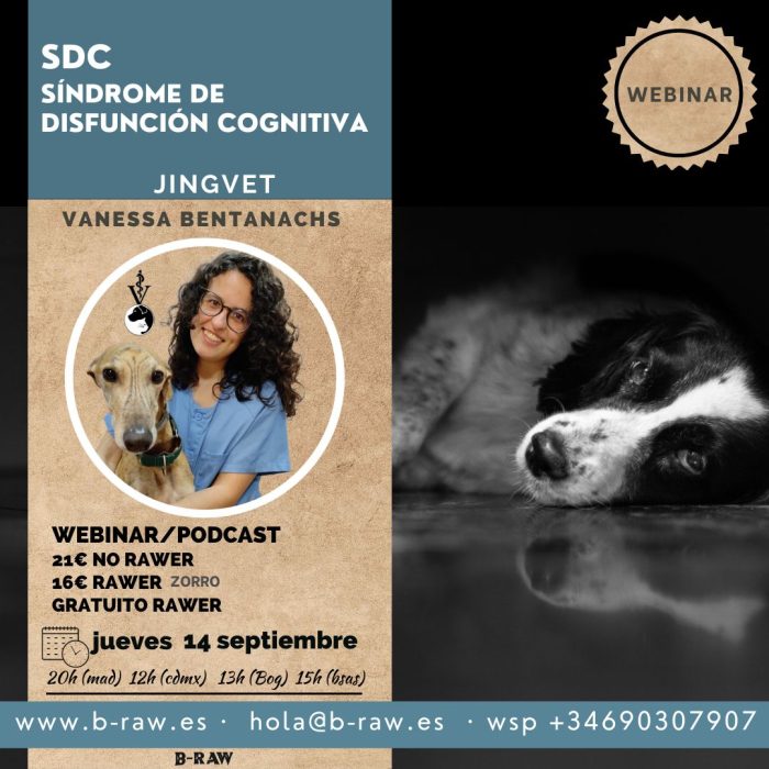 SDC - Síndrome de disfunción cognitiva en perros y gatos B-RAW