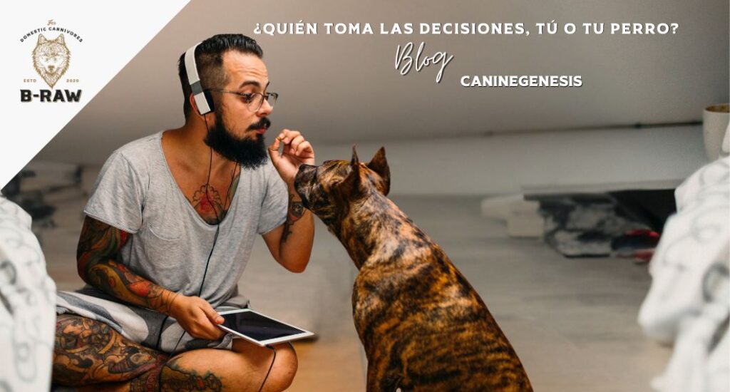 Descubre cómo fomentar su autonomía, mejorar su bienestar y fortalecer vuestra relación a través de pequeñas elecciones cotidianas.